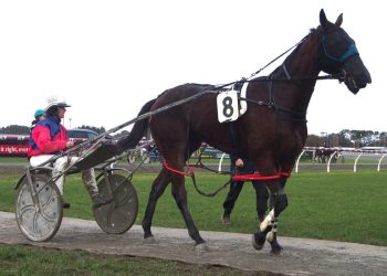 Silk Road to Francent