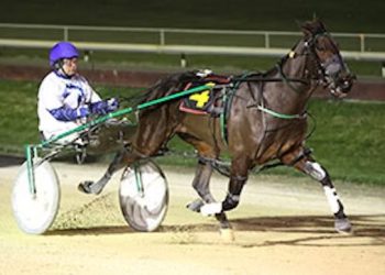 Stalwart supporter fronts up in NZ amateur drivers championships