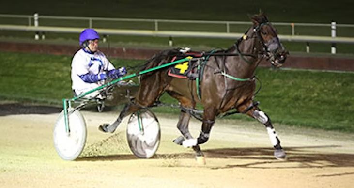 Stalwart supporter fronts up in NZ amateur drivers championships 1