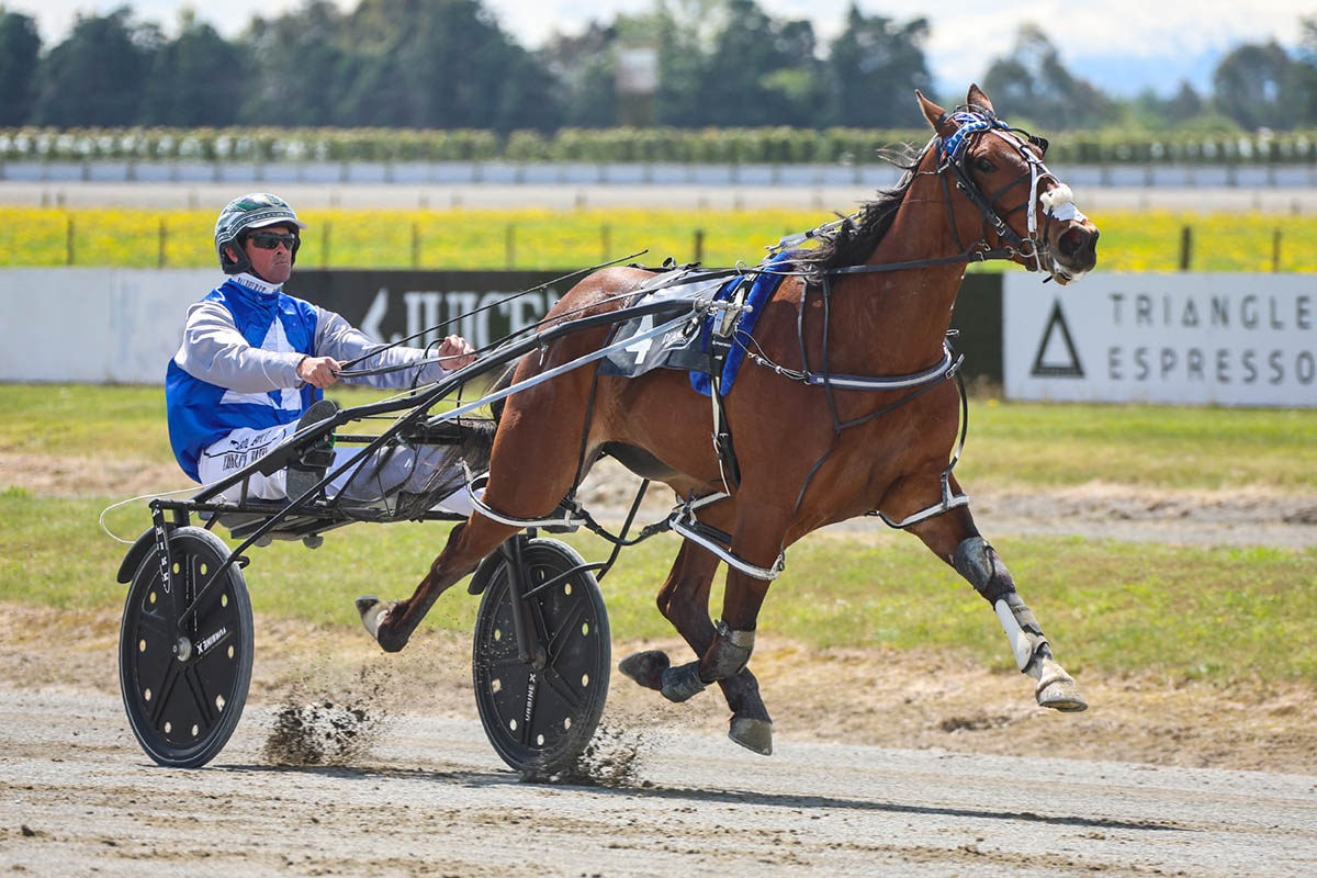 Cullen stocks on the rise 3