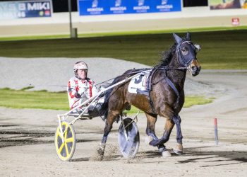 Gotfeelingsyouknow proves he’s a top trotter