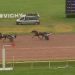 Harmony du Rabutin wins Vichy Feature 2 Harmony du Rabutin wins Vichy Feature