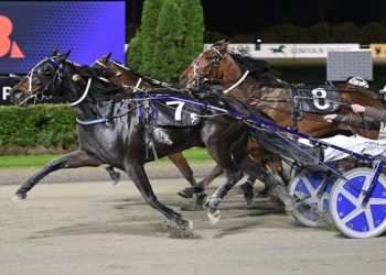 Harrison Orange seals a trip to AYDC