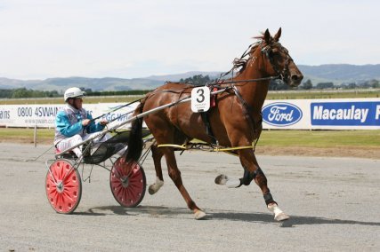 Death of well known Southland horseman Murray Brown 4