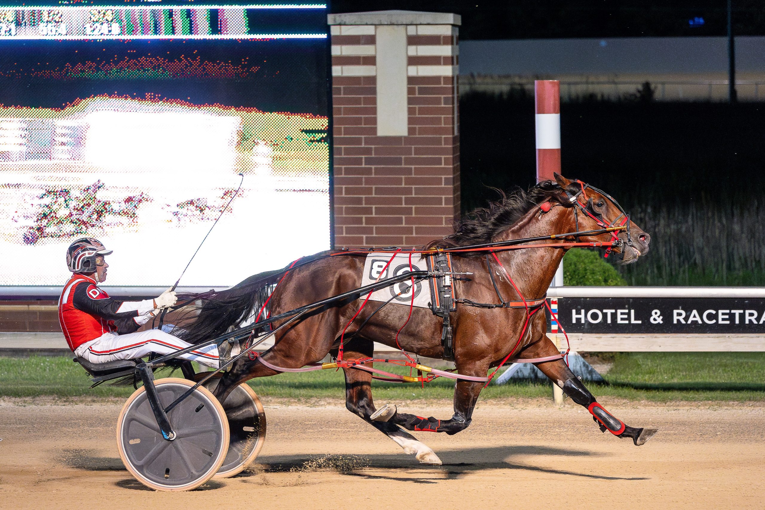 He'zzz A Wise Sky wins first local start of the season 1