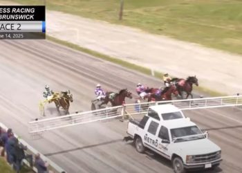 Child dies following accident at harness racing track