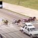 Child dies following accident at harness racing track