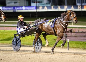 Williamson doubles down