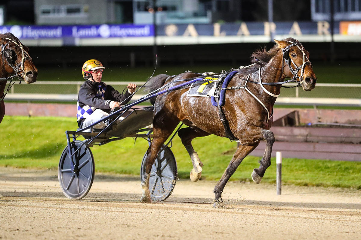 Williamson doubles down 4