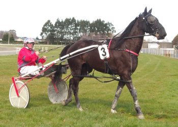 Gray carts eleven to Winton