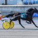 DSBF Trotters complete 2nd leg 1