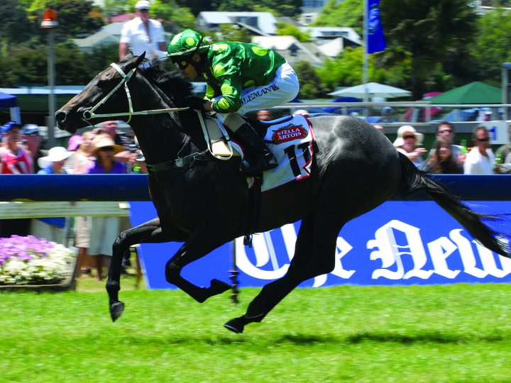 Cullen stocks on the rise 1