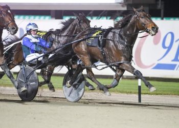 Kingmaker on a winning roll