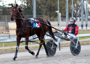 Kyle Marshall claims Warragul Pacing Cup
