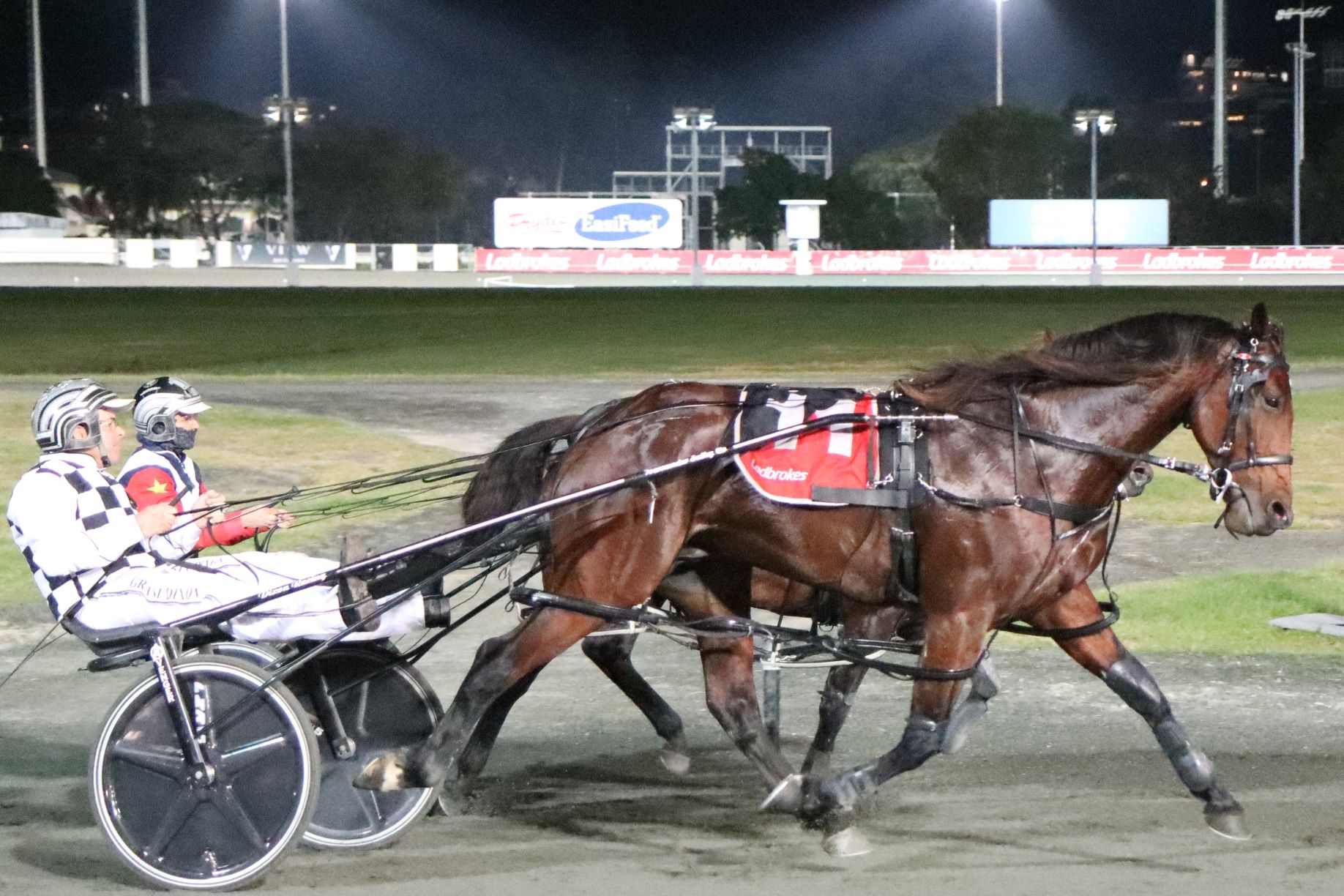 Another jog for Leap To Fame 2