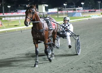Leap To Fame ready for Inter Dominion with effortless win