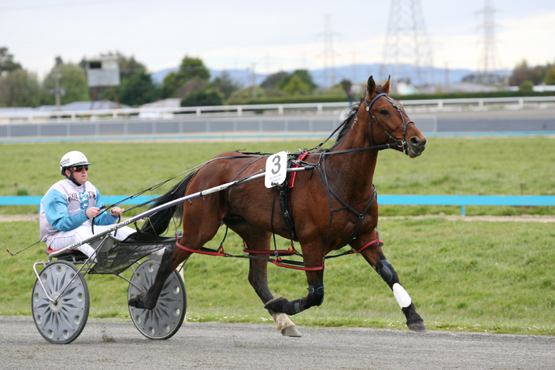 Death of well known Southland horseman Murray Brown 5