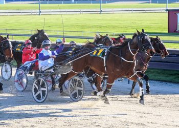 Stuart honours Brown at Addington