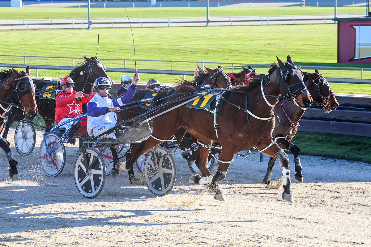 Stuart honours Brown at Addington 1