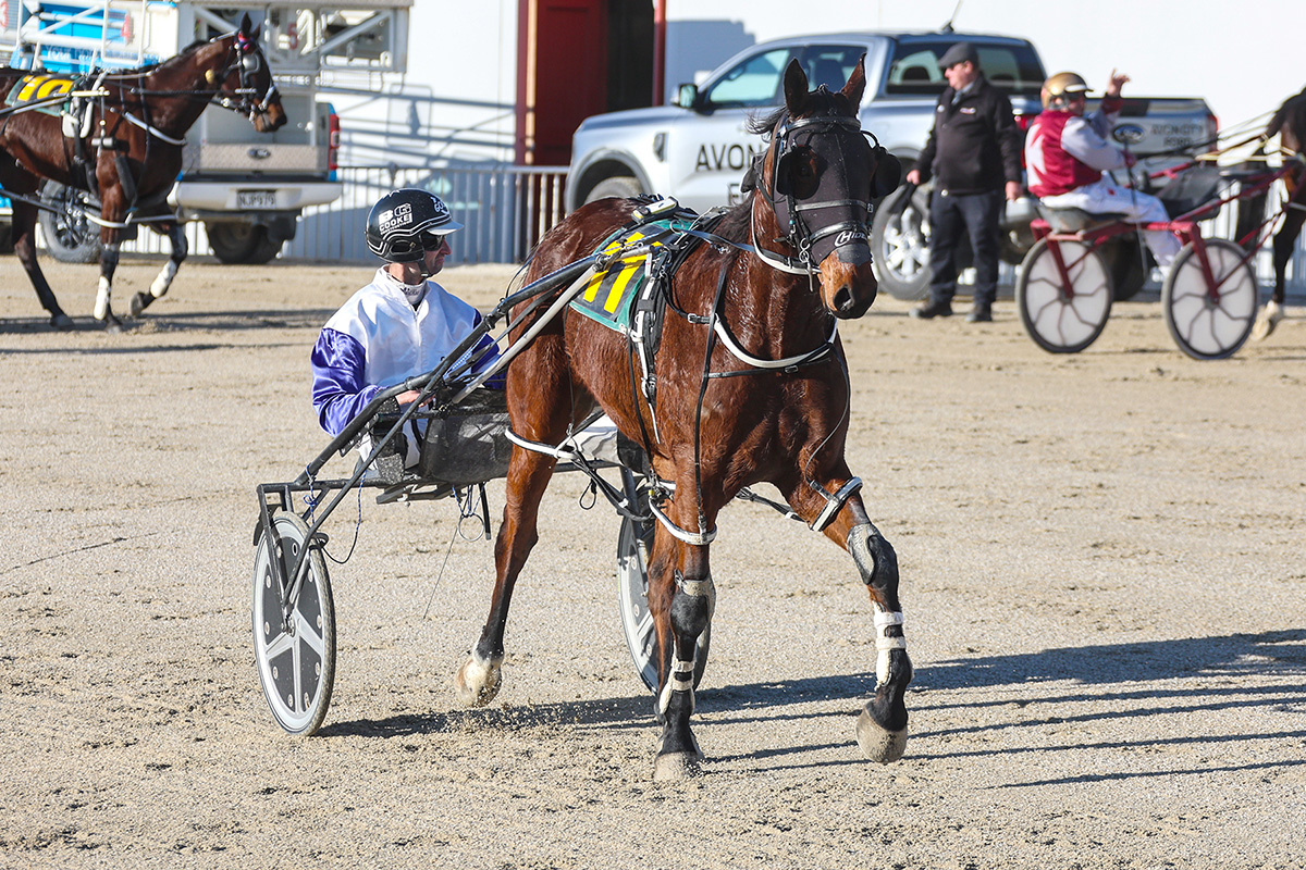 Stuart honours Brown at Addington 2