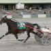 Match My Miracle and Samsun Of A Beach get feature wins 5
