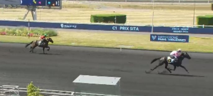 Face Time Bourbon offspring shine 1