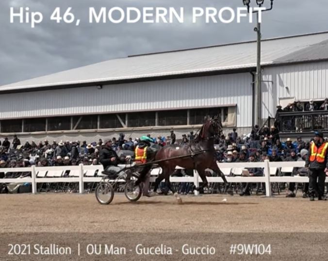 Mid-Ohio Memorial Trotting Sale complete 1