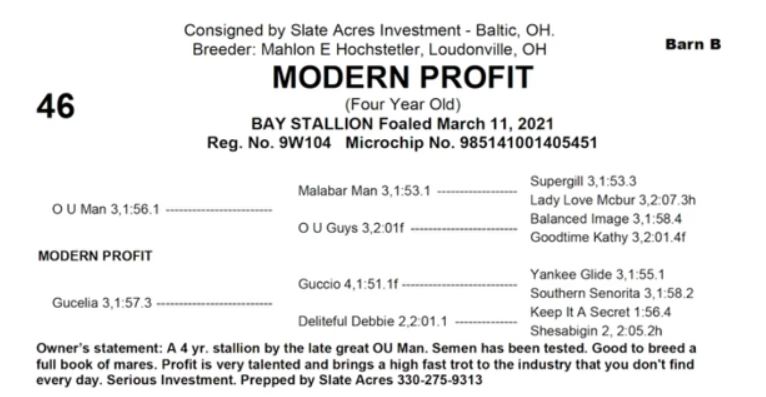 Mid-Ohio Memorial Trotting Sale complete 2