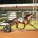 $162,166 contested among three-year-old trotting fillies 13