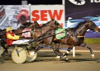 My General Lee set to stand at stud in South Australia