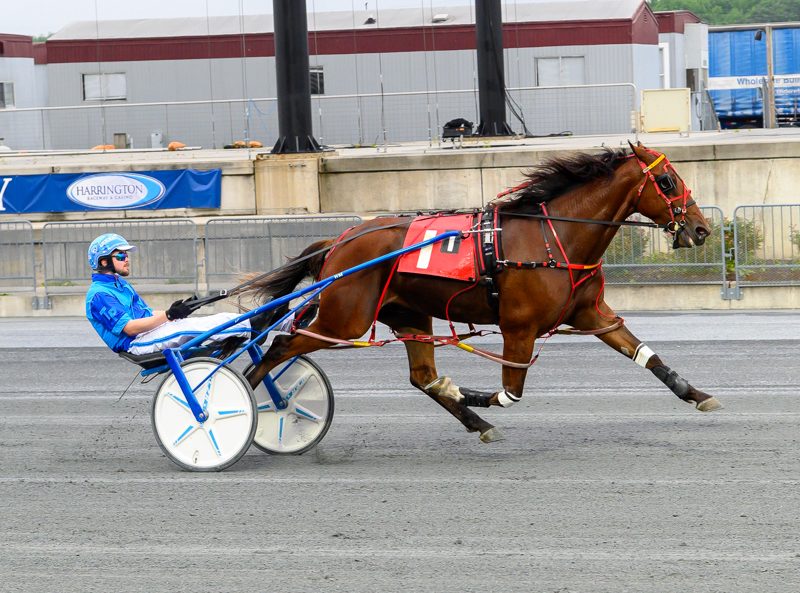 Primo Maschio, Lew Not Lou win DSBF splits 1