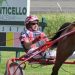 Minore, Ciuffetelli get results in AHDC trots 5 Minore, Ciuffetelli get results in AHDC trots