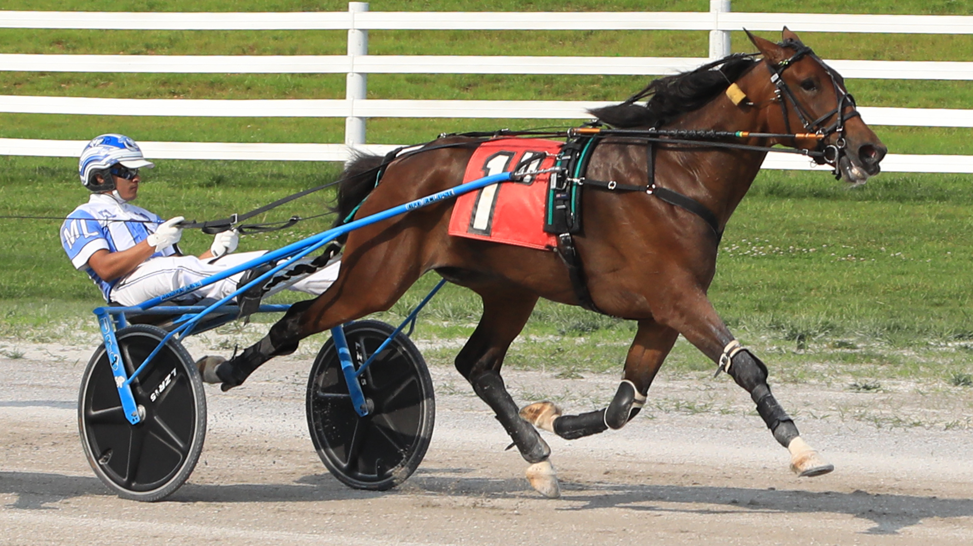 Aperfect Annie debuts victorious 1