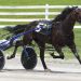 Sweet Lou gelding keeps season unbeaten record in $50,000 KYSS 2