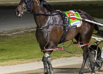 Rakero Rebel’s impressive win in Free For All company