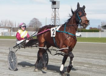 Green takes big team to Ascot Park