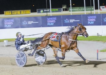 Seathestars impresses for potential Queensland trip