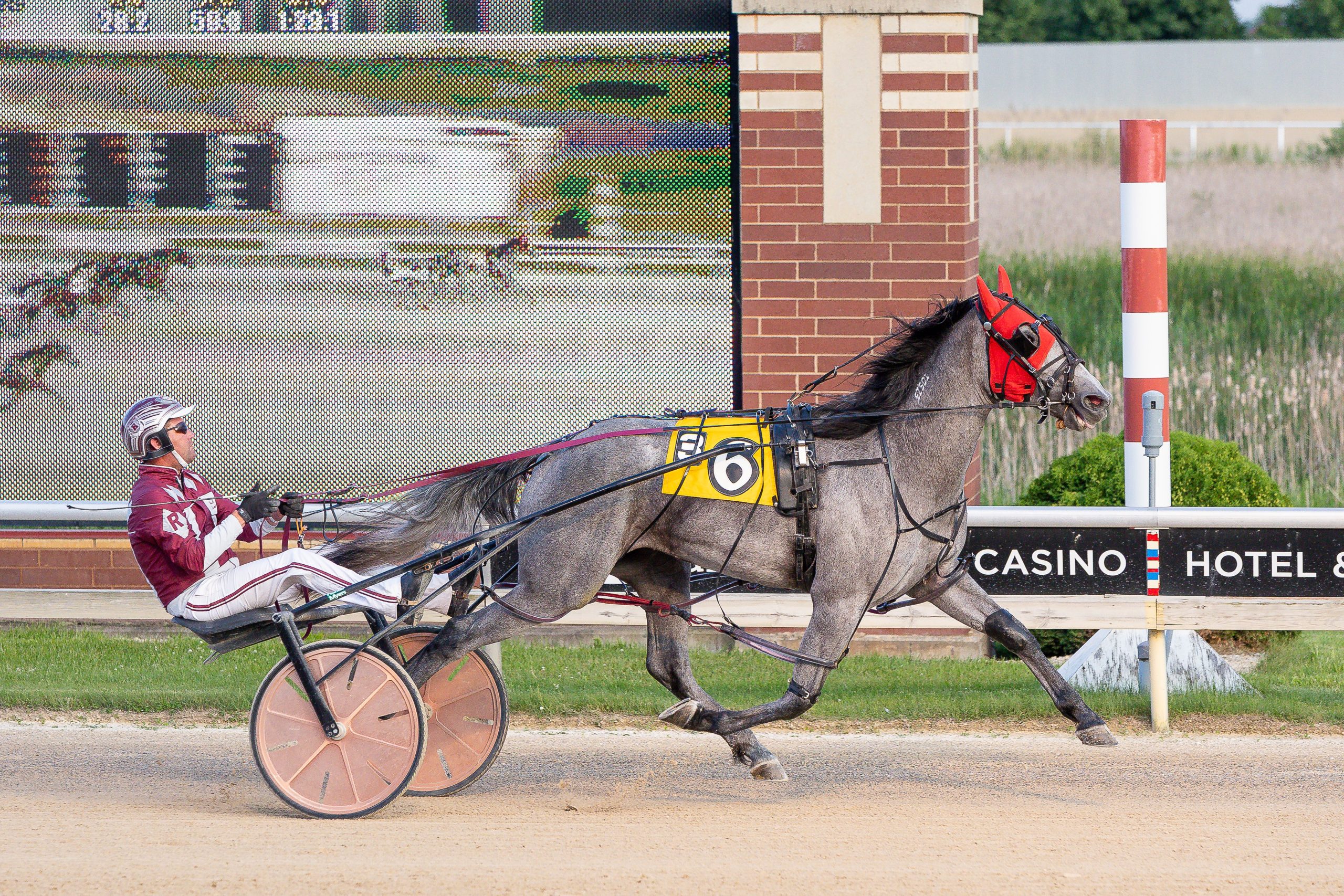 He'zzz A Wise Sky wins first local start of the season 2