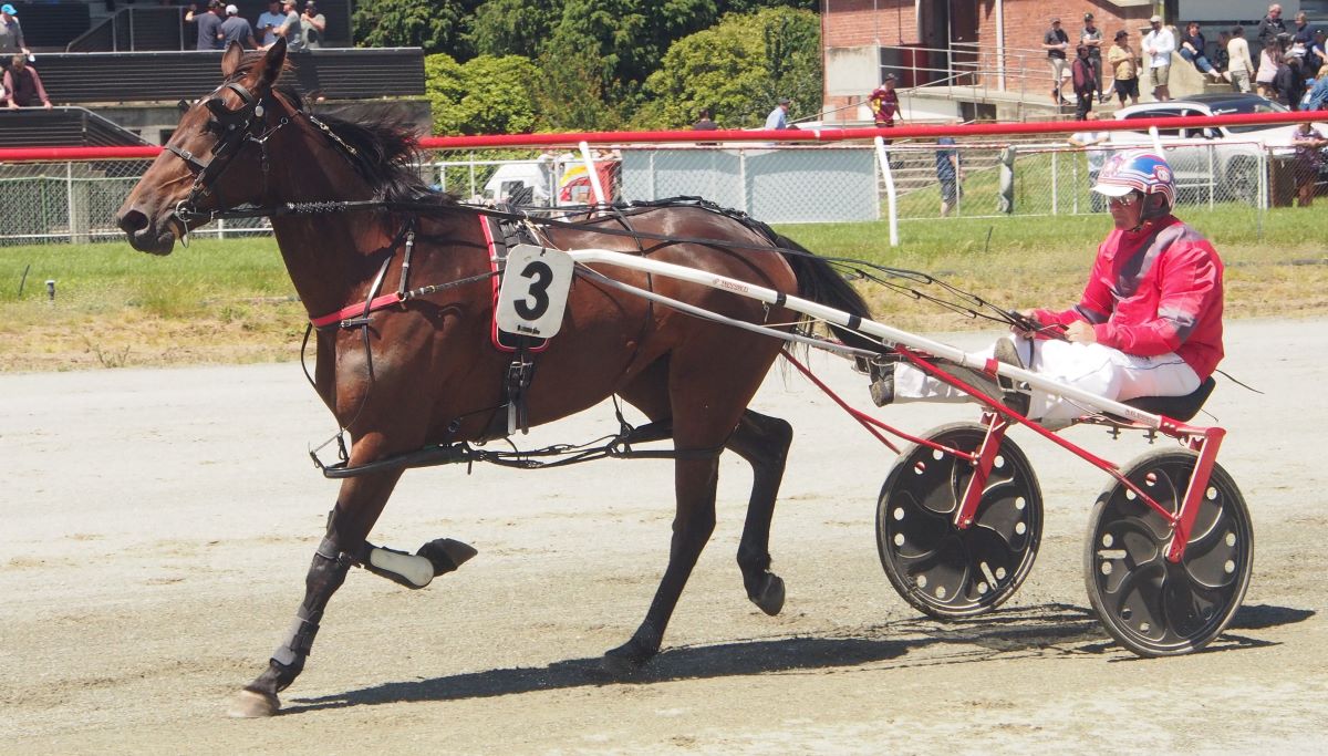 Gray carts eleven to Winton 2