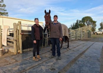 Victorian couple launch Tassie raid