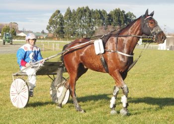 The Greek Freak gets well deserved win