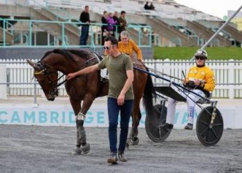 Quirky trotter gets another shot at Cambridge