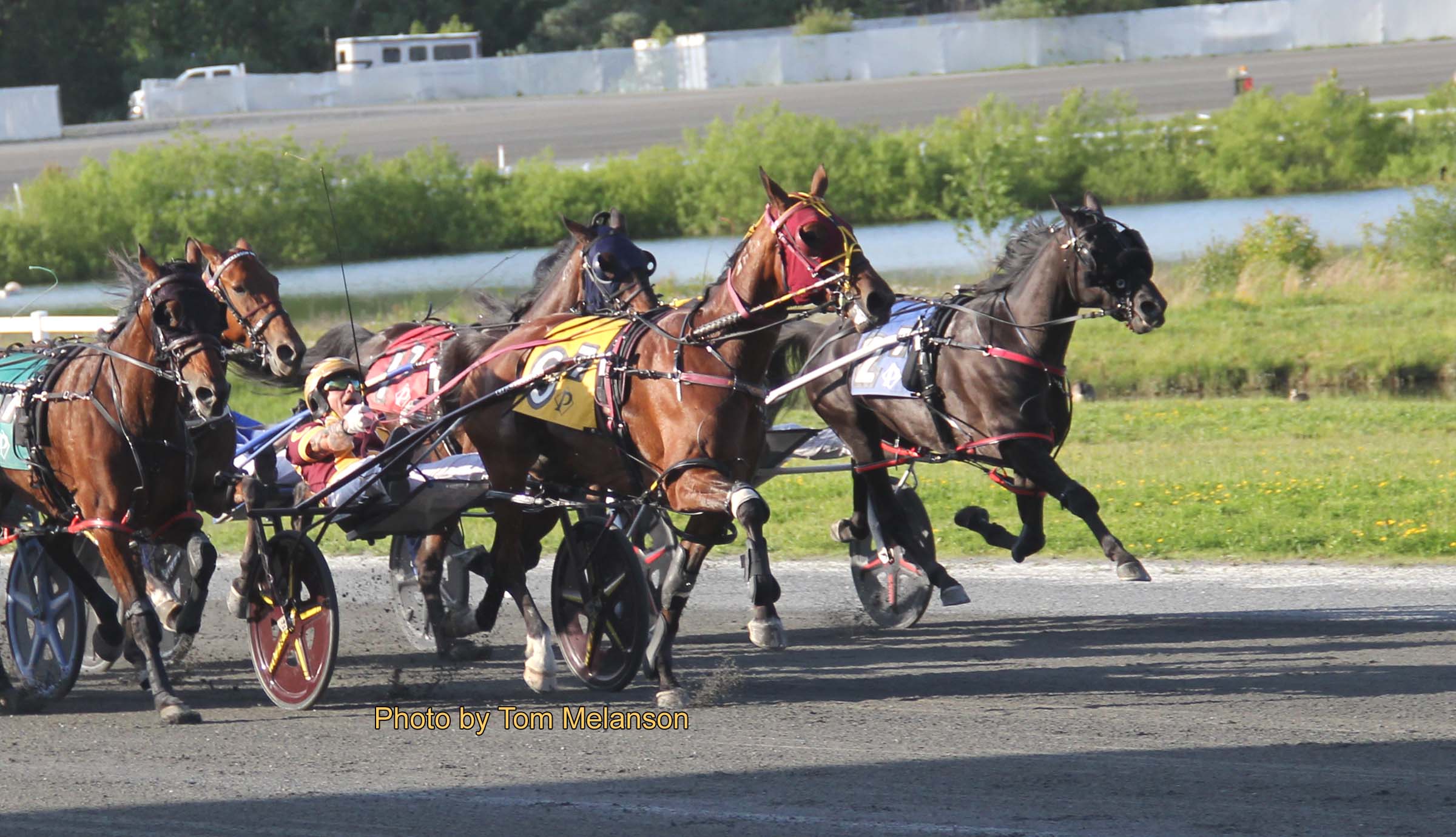 Ex-Kiwi Vincent mare back in the winners enclosure 1