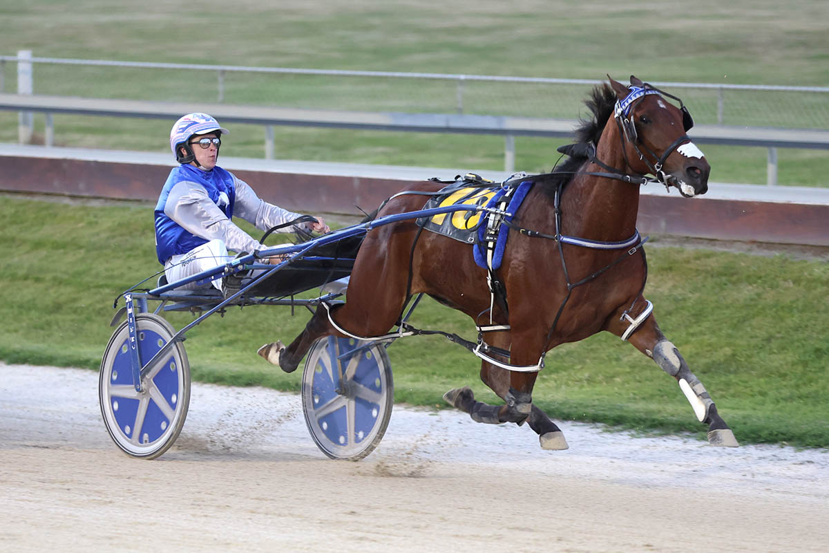 Cullen stocks on the rise 13