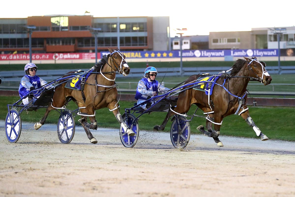 Cullen stocks on the rise 4