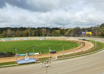 Warragul’s Cup meeting crucial in maintaining its survival