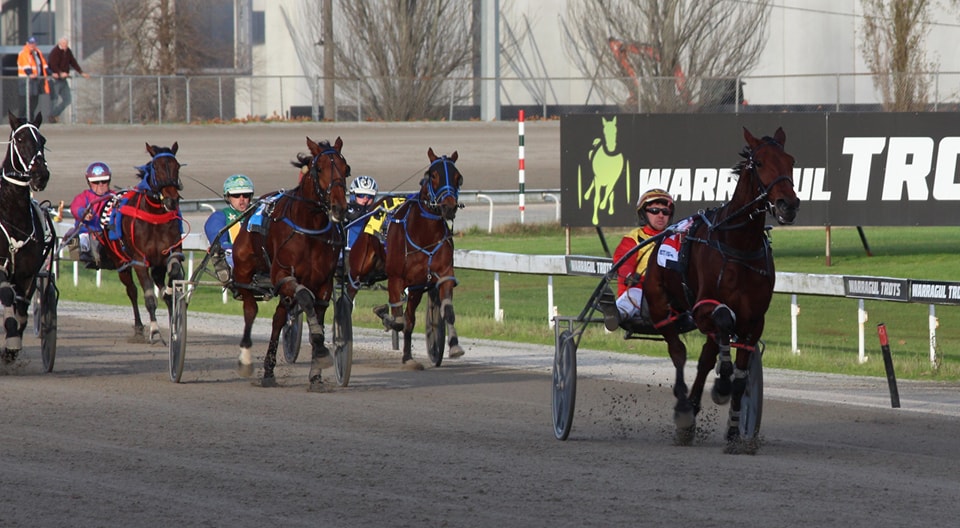 Warragul’s Cup meeting crucial in maintaining its survival 2