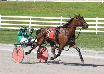 Campbell uses wise thinking to get milestone win