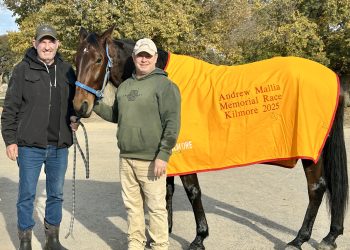 Harris loving life in ‘the perfect job’!