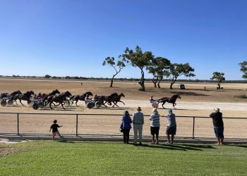 Big changes in SA harness racing